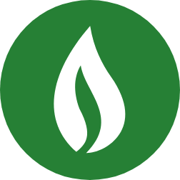 Logo de EGSA do Brasil